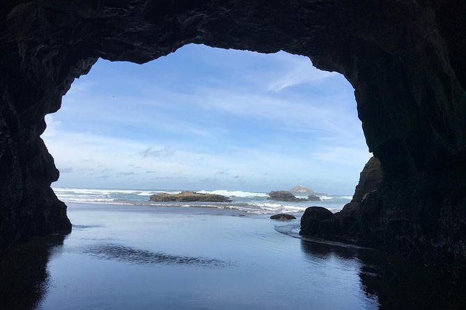 Beautiful Nature Tours Auckland - Private Tour - Customization with guide Gesa: active nature, plus smart swaps