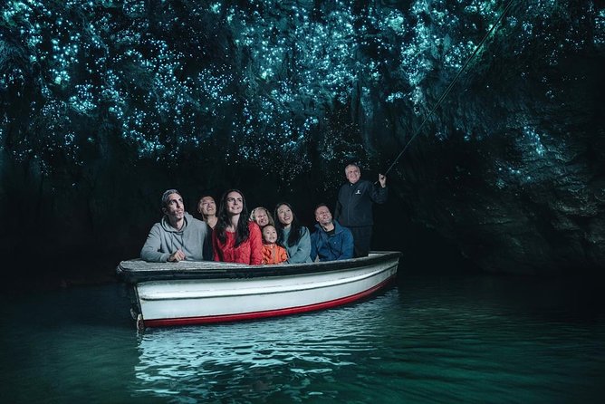 Beautiful Nature Tours Auckland - Private Tour - Price check: when this private tour makes sense