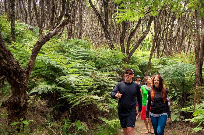 Best Abel Tasman Day trip - Wildlife Spotting: Fur Seals, Penguins, and the Luck Factor