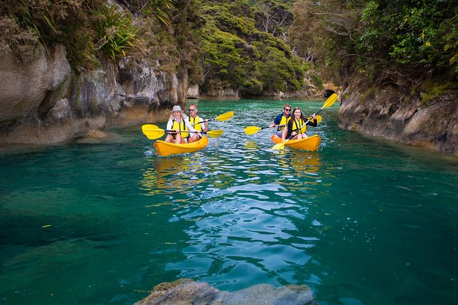 Best Abel Tasman Day trip - Split Apple Rock: The Iconic Coastline, Without the Time Sink