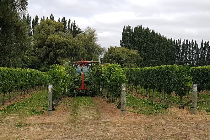 Beyond the Vines - Full-Day Marlborough Wine Tasting Tour - Saint Clair Vineyard Kitchen: the lunch stop that sets the tone
