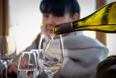 Beyond the Vines – Full-Day Marlborough Wine Tasting Tour