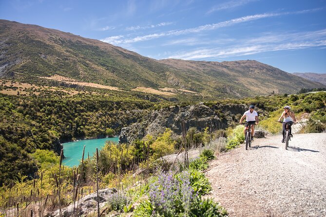 Bike The Wineries (1/2 Day) - Quick Pedal to Pinot - Gibbston Valley Wine Trail: the easiest way to do winery hopping by bike