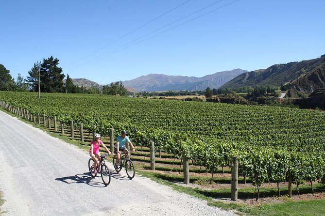 Bike The Wineries (3/4 Day) - Ride Through Queenstown Vineyards - Getting started at Arrow Junction, then finding the Gibbston Valley Trail
