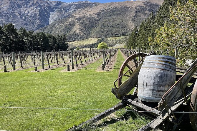 Bike & Wine Tour: Arrowtown to Valley of the Vines - Key things that make this ride work