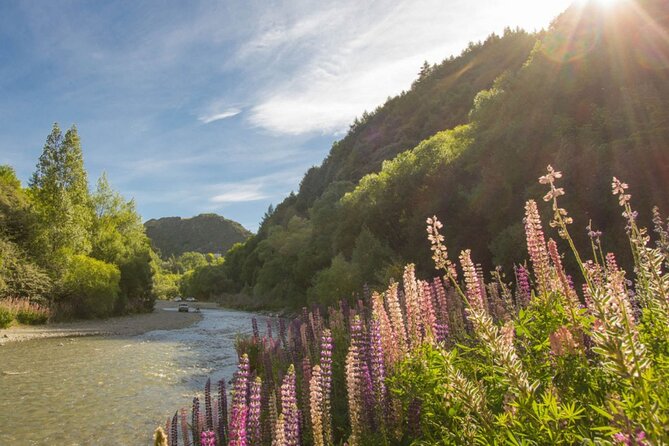 Bike & Wine Tour: Arrowtown to Valley of the Vines - The Valley of the Vines ride: cellar doors along a route you can actually enjoy