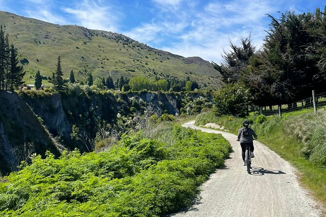 Bike & Wine Tour: Arrowtown to Valley of the Vines - Who this tour is perfect for, and who should think twice