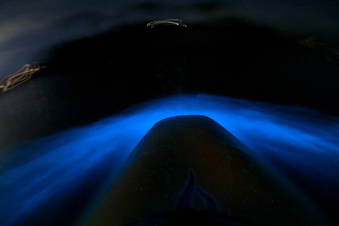 Bioluminescence Kayak Tour - Est. 1994 - Key takeaways before you go