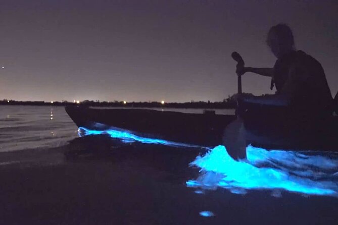 Bioluminescence Kayak Tour - Est. 1994 - What you do during the 2 hours on the water