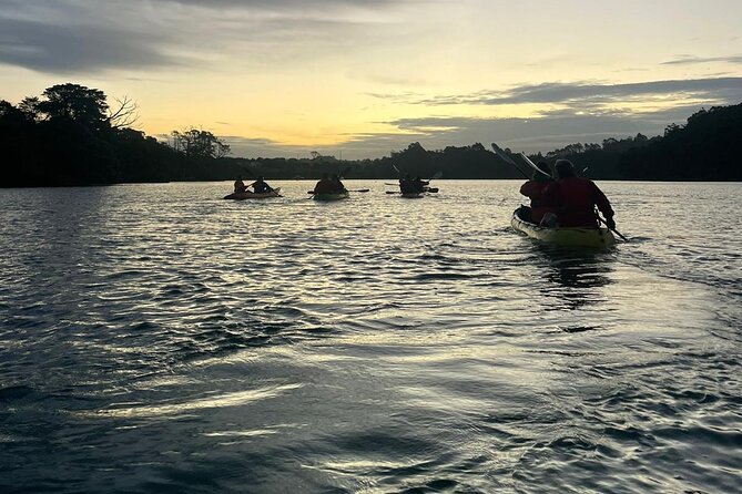 Bioluminescence Kayak Tour - Est. 1994 - Dress like you are kayaking in the rain, not a movie set