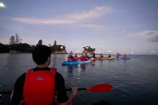 Bioluminescence Kayak Tour - Est. 1994 - Small groups and safety habits that keep you relaxed