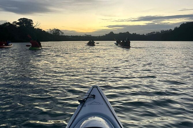 Bioluminescence Kayak Tour - Est. 1994 - Price and value for $73.85 per person