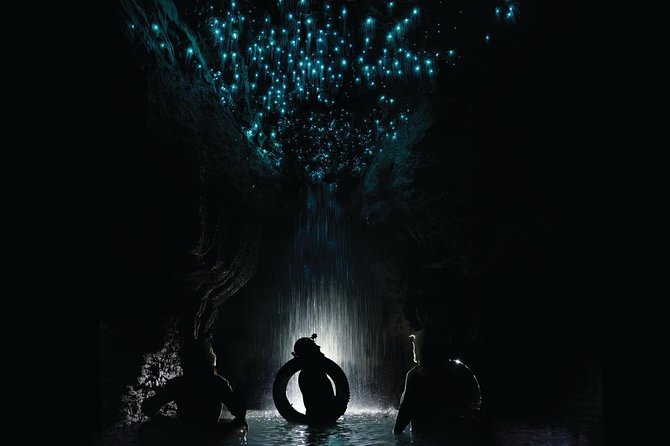Black Water Rafting Experience Waitomo Caves Tour - Key highlights you will feel on the day