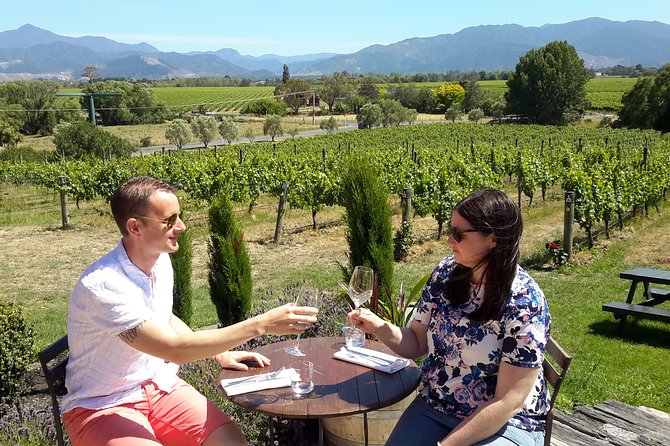 Blenheim Half day Wine Tour - The ride from Blenheim: comfort and a smooth start