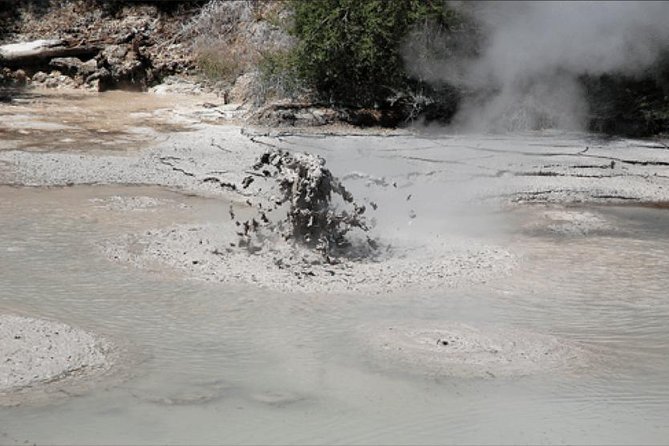 Boutique tour , Mt Maunganui, NZ farm, Rotorua lakes/geothermal - Rotorua’s First Stops: Ohinemutu, Government Gardens, and the Steam You Can Smell