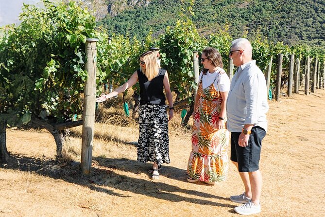 Boutique Wine Tour - visit Central Otago, 4 Wineries & Lunch - Final Gibbston tasting: last pours before the ride home