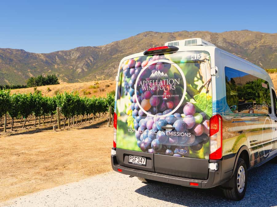 Boutique Winery Half-Day Tour & Vineyard Platter-Style Lunch - Vineyard tastings: what you should pay attention to