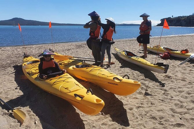 Browns Island Motukorea Sea Kayak Tour - 1909 airplane trials and the wildlife sanctuary you paddle to