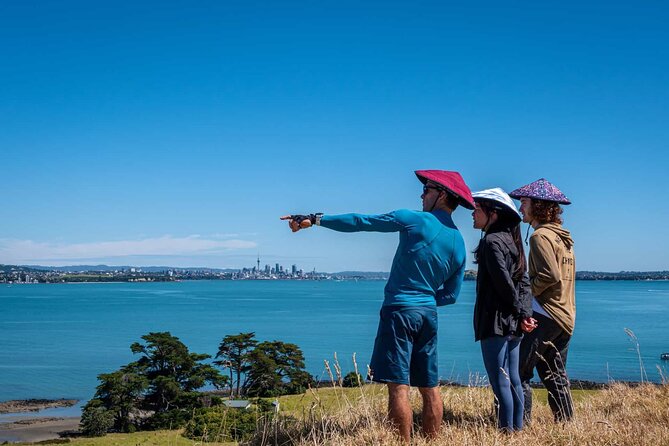 Browns Island Motukorea Sea Kayak Tour - Price and value: is $93.09 worth it?