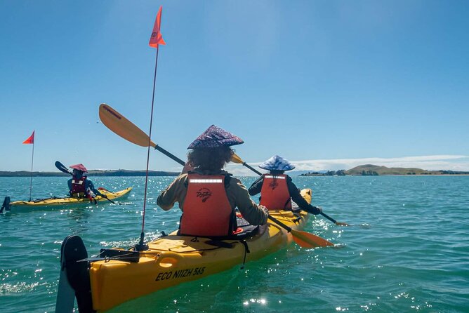 Browns Island Motukorea Sea Kayak Tour - Motukorea’s volcanic origin: 25,000 years in the open air