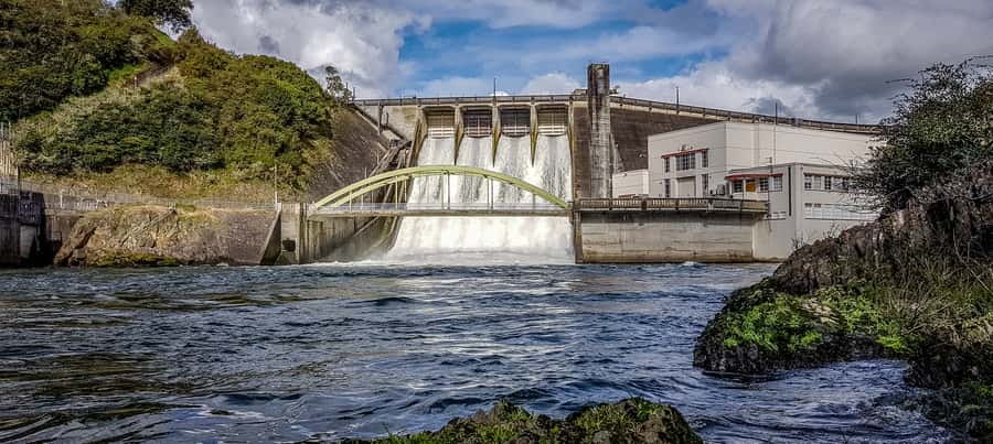 Cambridge, Matamata, Waitomo: 1-Hour Ecological River Cruise - Key highlights to look for