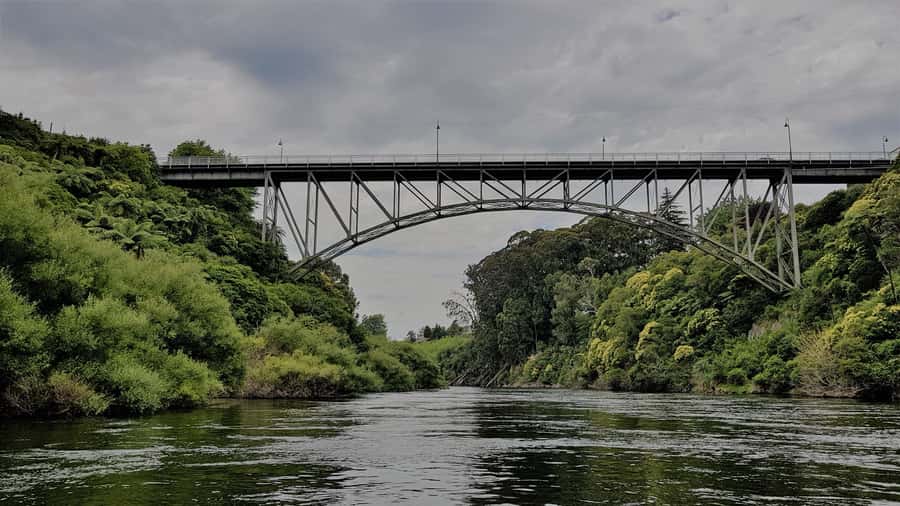 Cambridge, Matamata, Waitomo: 1-Hour Ecological River Cruise - Where the tour starts: Camjet in Cambridge