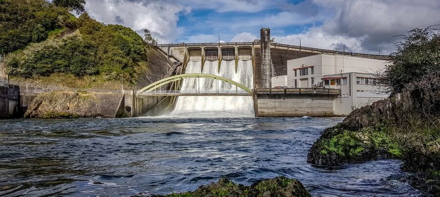Cambridge, Matamata, Waitomo: 1-Hour Ecological River Cruise - What makes the ride feel fun, not chaotic
