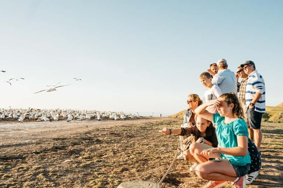 Cape Kidnappers Gannet Colony Private Tour - Cape Kidnappers, where a farm and a wildlife sanctuary share one coastline