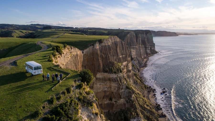 Cape Kidnappers Gannet Colony Private Tour - Native bush conservatory 200 hectares, plus Kiwi and tuatara