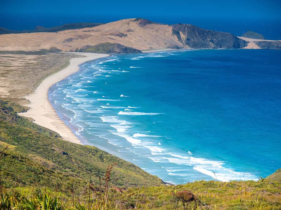 Cape Reinga: Day Trip from Paihia, Kerikeri, or Kaitaia - Key highlights to know before you go