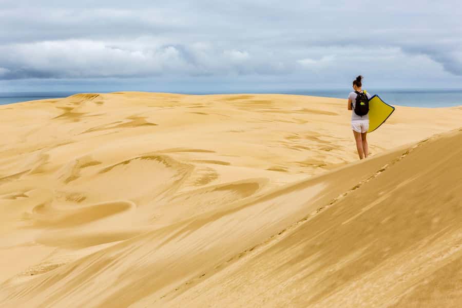 Cape Reinga: Day Trip from Paihia, Kerikeri, or Kaitaia - Entering the Far North: what makes this day trip work