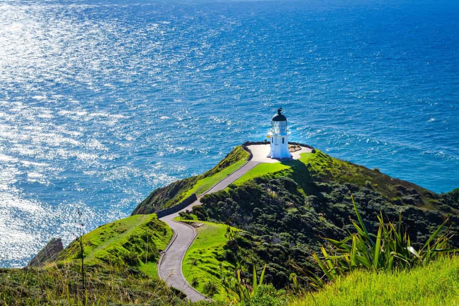 Cape Reinga: Day Trip from Paihia, Kerikeri, or Kaitaia - The coastal road drive: the scenery happens in chapters