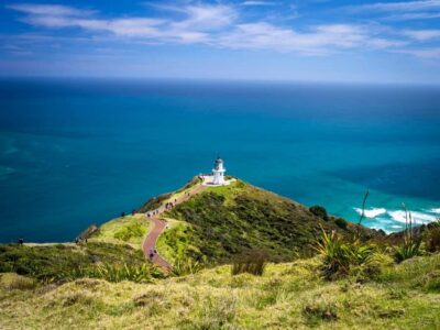 Cape Reinga: Day Trip from Paihia, Kerikeri, or Kaitaia