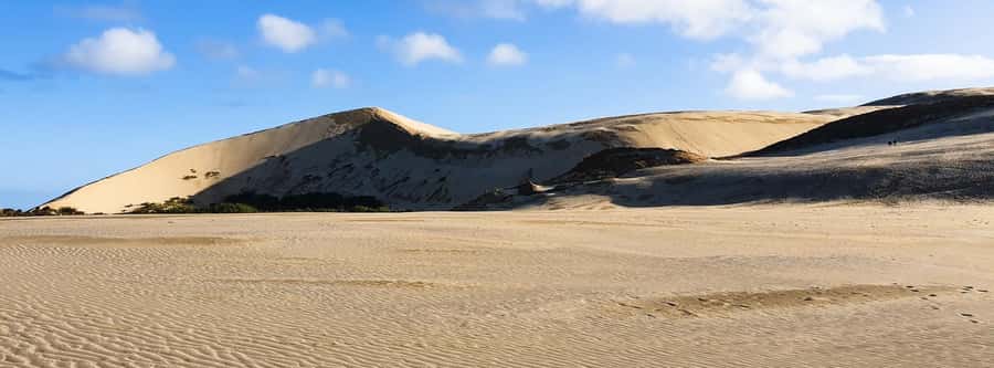 Cape Reinga: Day Trip from Paihia, Kerikeri, or Kaitaia - Price and value: what you get for $136