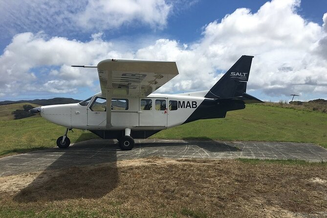 Cape Reinga Half-Day Tour Including Scenic Flight - Paihia pickup, the meeting point, and how the day runs
