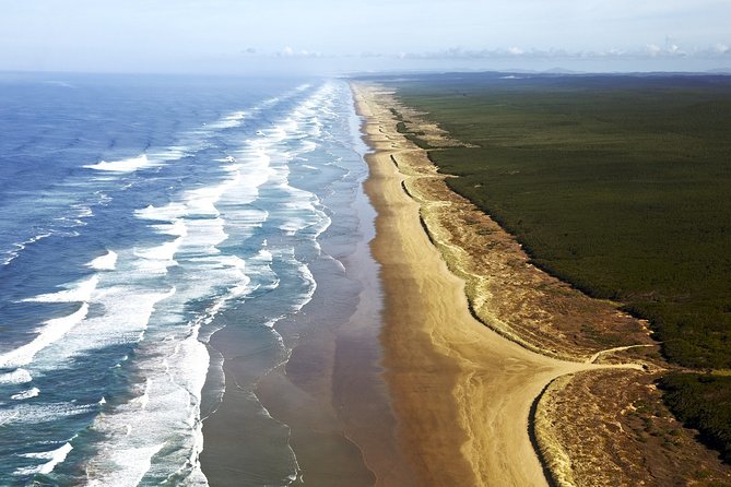 Cape Reinga Half-Day Tour Including Scenic Flight - Te Paki quicksand stream and the giant sand dunes