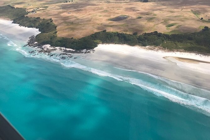 Cape Reinga Half-Day Tour Including Scenic Flight - What the scenic flight is really like, including seat perks