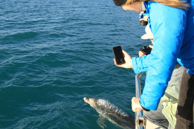 Captain Cook and Dolphin Cruise - Ship Cove and the Cook story: 170 days with a living history