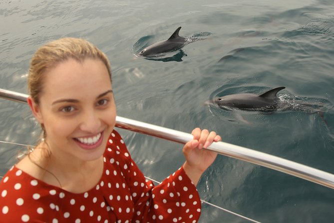 Captain Cook and Dolphin Cruise - The E-Ko Tours photo and Wi-Fi stop: a nice extra, not a distraction