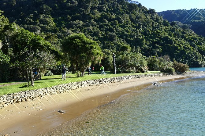 Captain Cook and Dolphin Cruise - What $104.26 buys you, and why it feels fair
