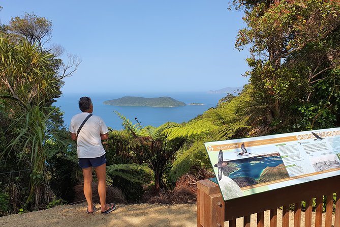 Captain Cook and Dolphin Cruise - Who this cruise suits best, and when to choose something else