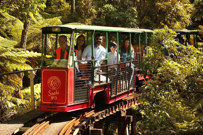 Captivating Railway Journey in Coromandel - Quick hits before you go