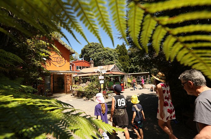 Captivating Railway Journey in Coromandel - Who this mountain railway suits best
