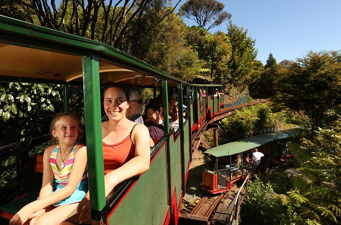 Captivating Railway Journey in Coromandel - Price and value: is $35.37 worth it?