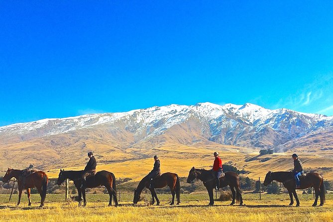 Cardrona High Country Pub Trail Horse Trek (Intermediate level+) - Where This Ride Fits In: Cardrona Valley, Near Wanaka