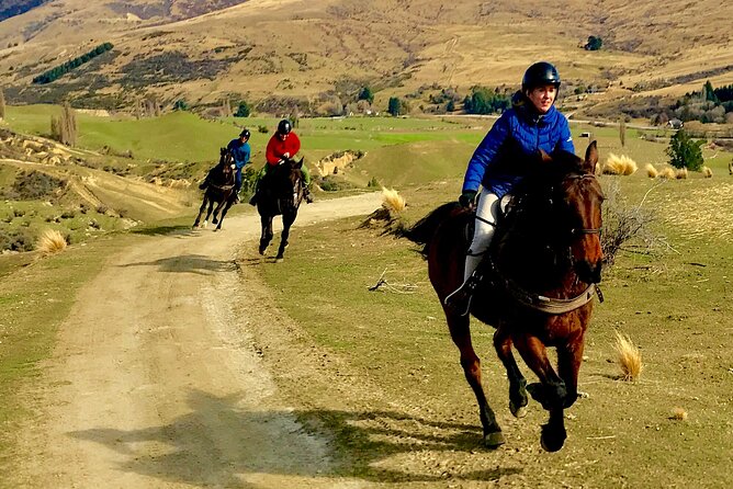 Cardrona High Country Pub Trail Horse Trek (Intermediate level+) - The Animals and Little Moments That Make It Feel Like Central Otago