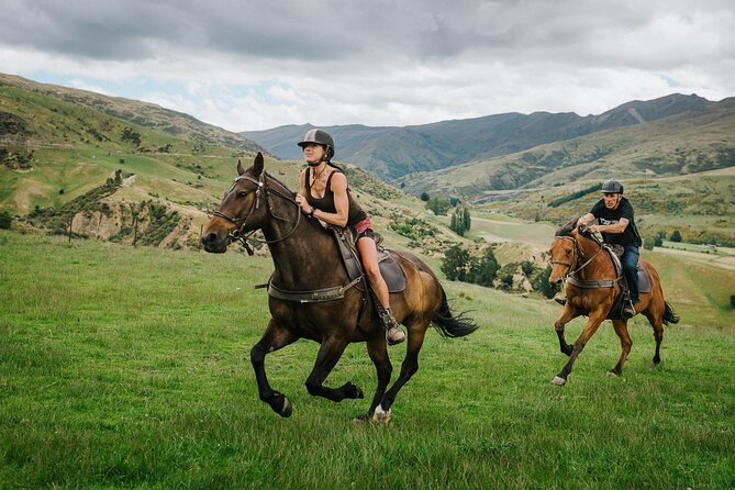 Cardrona High Country Pub Trail Horse Trek (Intermediate level+) - Price and Value: Is $433.78 Worth It?
