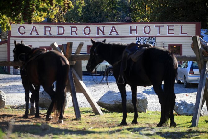 Cardrona High Country Pub Trail Horse Trek (Intermediate level+) - Weather Reality: All-Weather Operation, So Dress Like It
