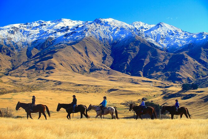 Cardrona High Country Pub Trail Horse Trek (Intermediate level+) - The Type Of Riding You’ll Actually Do (And Who This Is For)