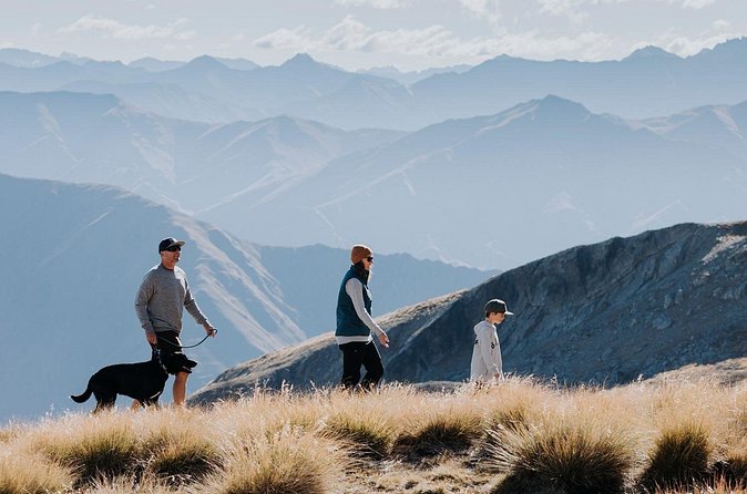 Cardrona Summer Gondola Sightseeing Pass - Price and value: is $21.72 per person worth it?